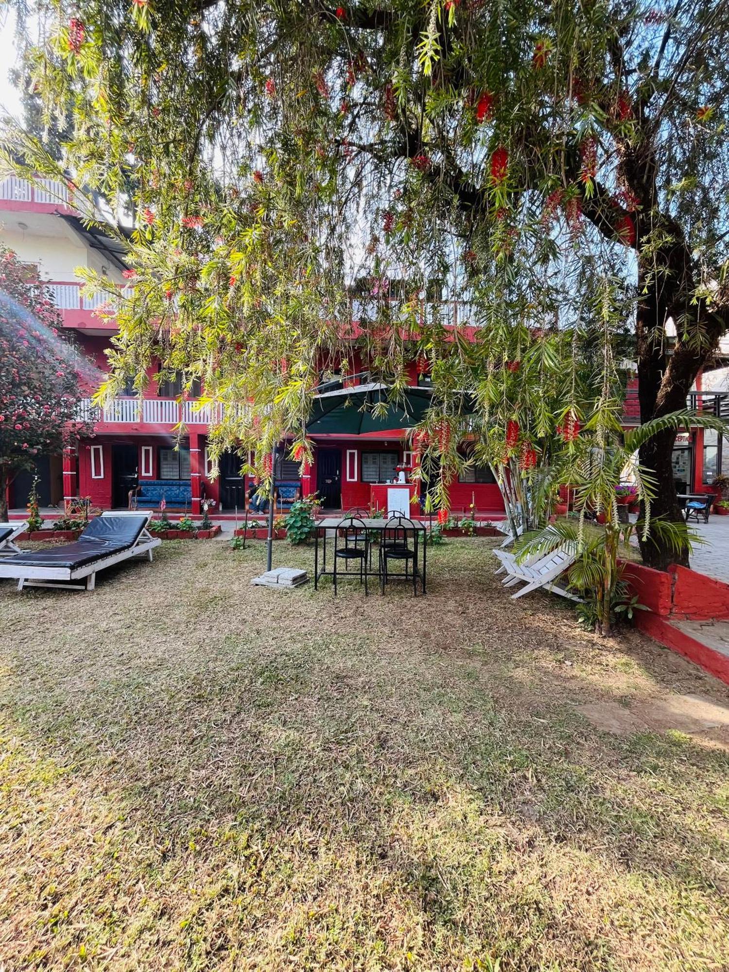 פוקהרה Butterfly Lodge מראה חיצוני תמונה